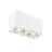 SLV Triledo Dubbel Plafondlamp Aluminium Wit | Geschikt voor 2x GU10 